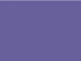 Millenial Lilac