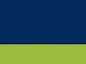 Navy/Neon Green
