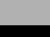 Light Grey/Black