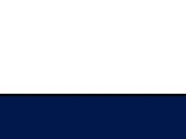 White/French Navy