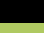Black/Lime Green