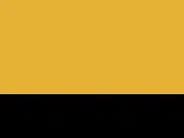 Gold/Black