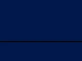 French Navy/French Navy