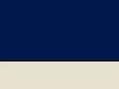 French Navy/Stone