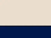 Putty/French Navy
