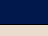 French Navy/Putty