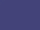 Light Navy