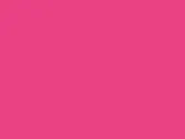 Hibiskus Pink
