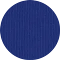 Worker Blue