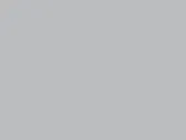 Pacific Grey