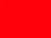 Pop Tomato