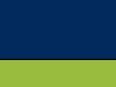 Navy/Neon Green